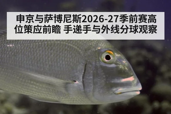 申京与萨博尼斯2026-27季前赛高位策应前瞻 手递手与外线分球观察